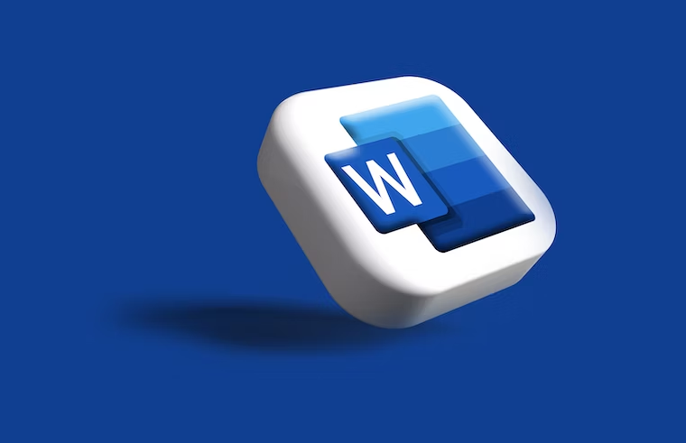 Microsoft Office Professional Training