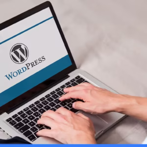 Wordpress Development